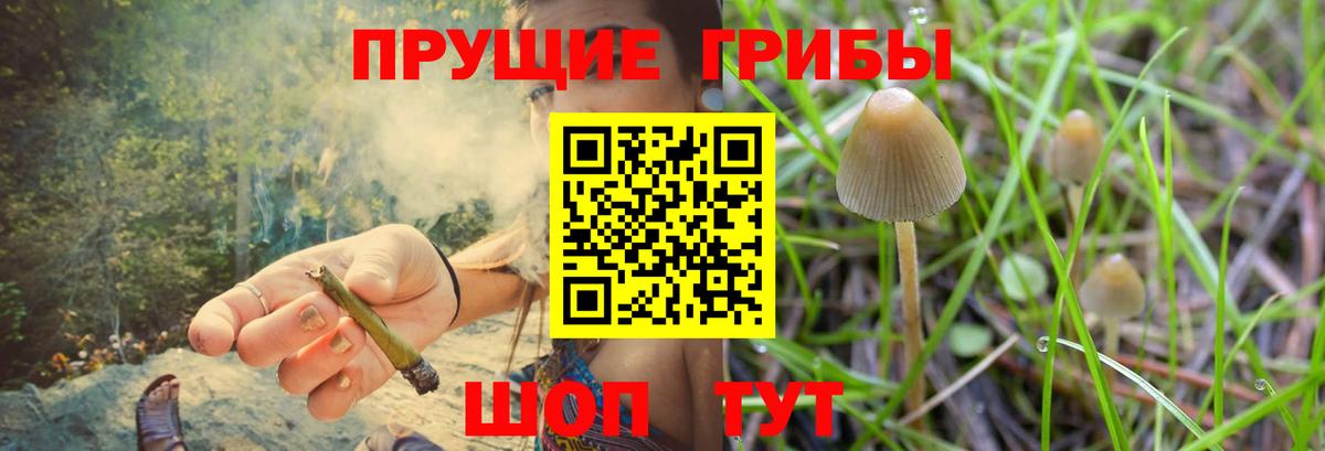 Галлюциногенные грибы мухоморы  Галлюциногенные грибы ЛСД  Алексеевка  Вход с VPN 